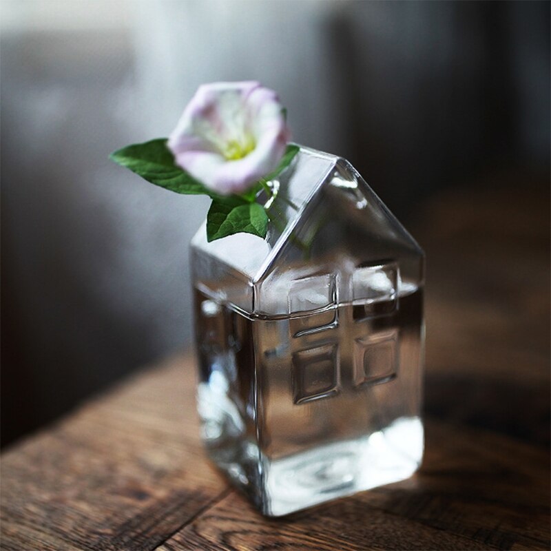 Transparent Glass House Vase Transparent Glass House Vase