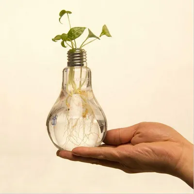 Transparent Glass Light Bulb Vase