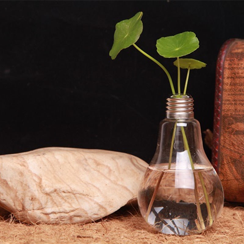 Transparent Glass Light Bulb Vase