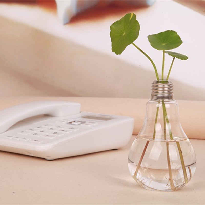 Transparent Glass Light Bulb Vase
