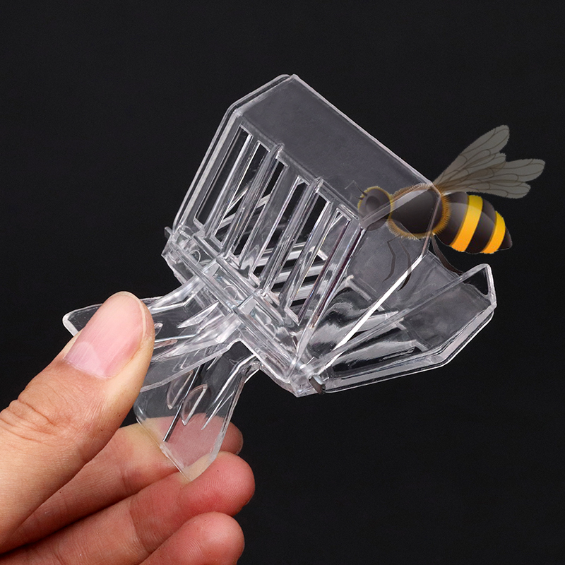 Transparent Queen Bee Clip (2 pcs) Transparent Queen Bee Clip (2 pcs)