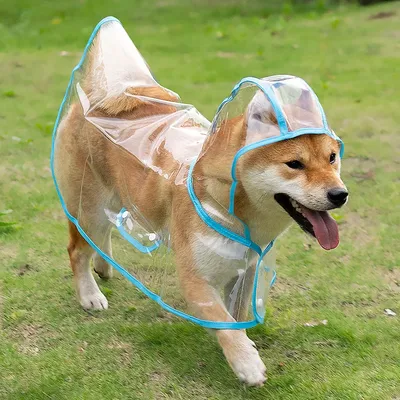 Transparent Raincoat for Dogs Transparent Raincoat for Dogs