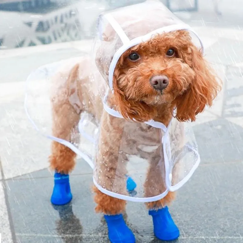 Transparent Raincoat for Dogs Transparent Raincoat for Dogs