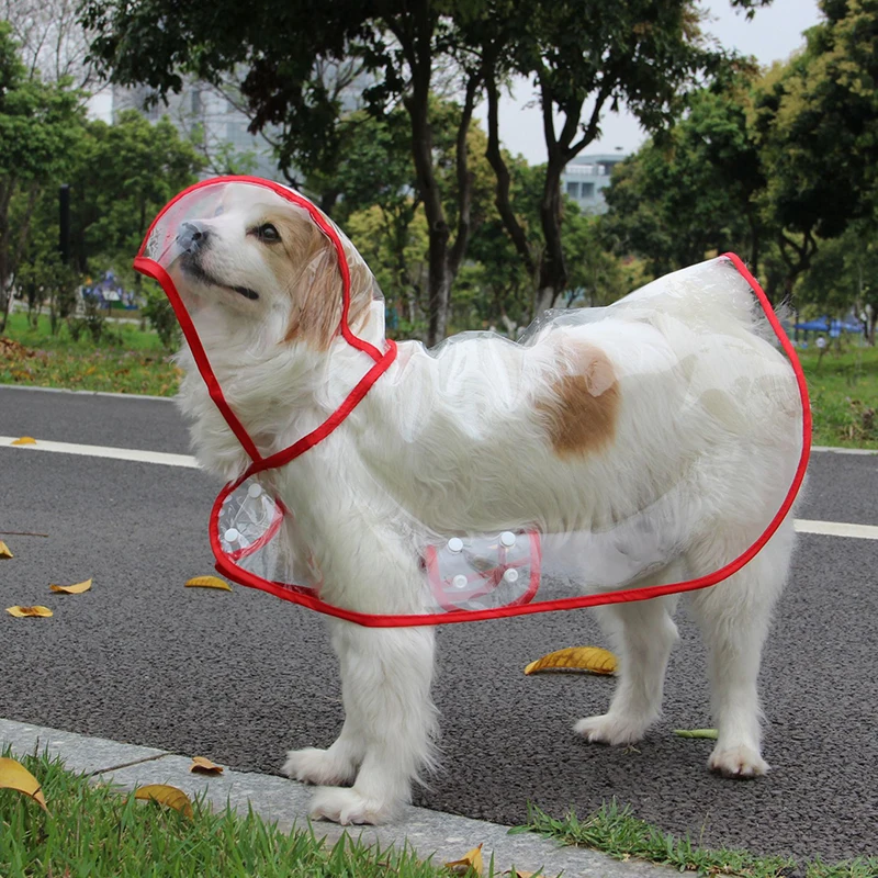 Transparent Raincoat for Dogs Transparent Raincoat for Dogs