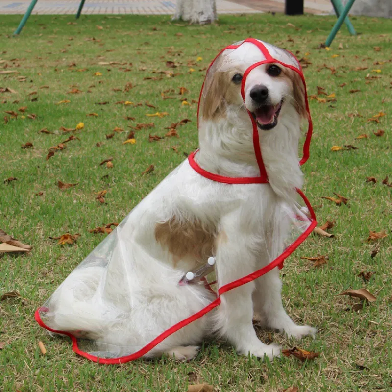 Transparent Raincoat for Dogs Transparent Raincoat for Dogs