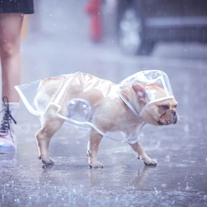 Transparent Raincoat for Dogs Transparent Raincoat for Dogs