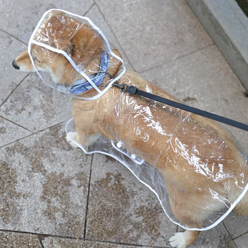 Transparent Raincoat for Dogs Transparent Raincoat for Dogs