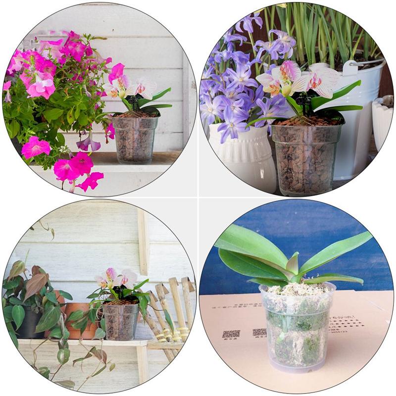 Transparent Resin Planting Cups (10pcs) Transparent Resin Planting Cups (10pcs)