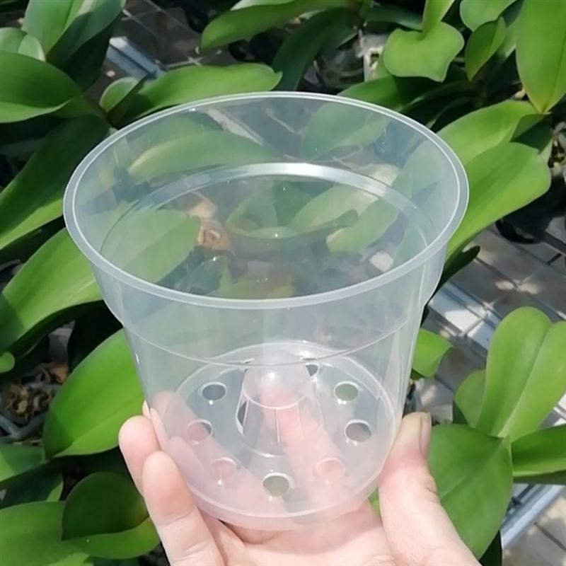 Transparent Resin Planting Cups (10pcs) Transparent Resin Planting Cups (10pcs)
