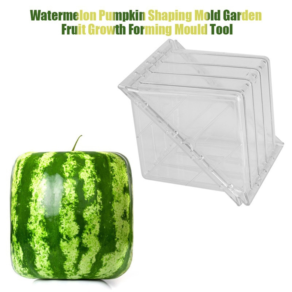 Transparent Square Watermelon Mold