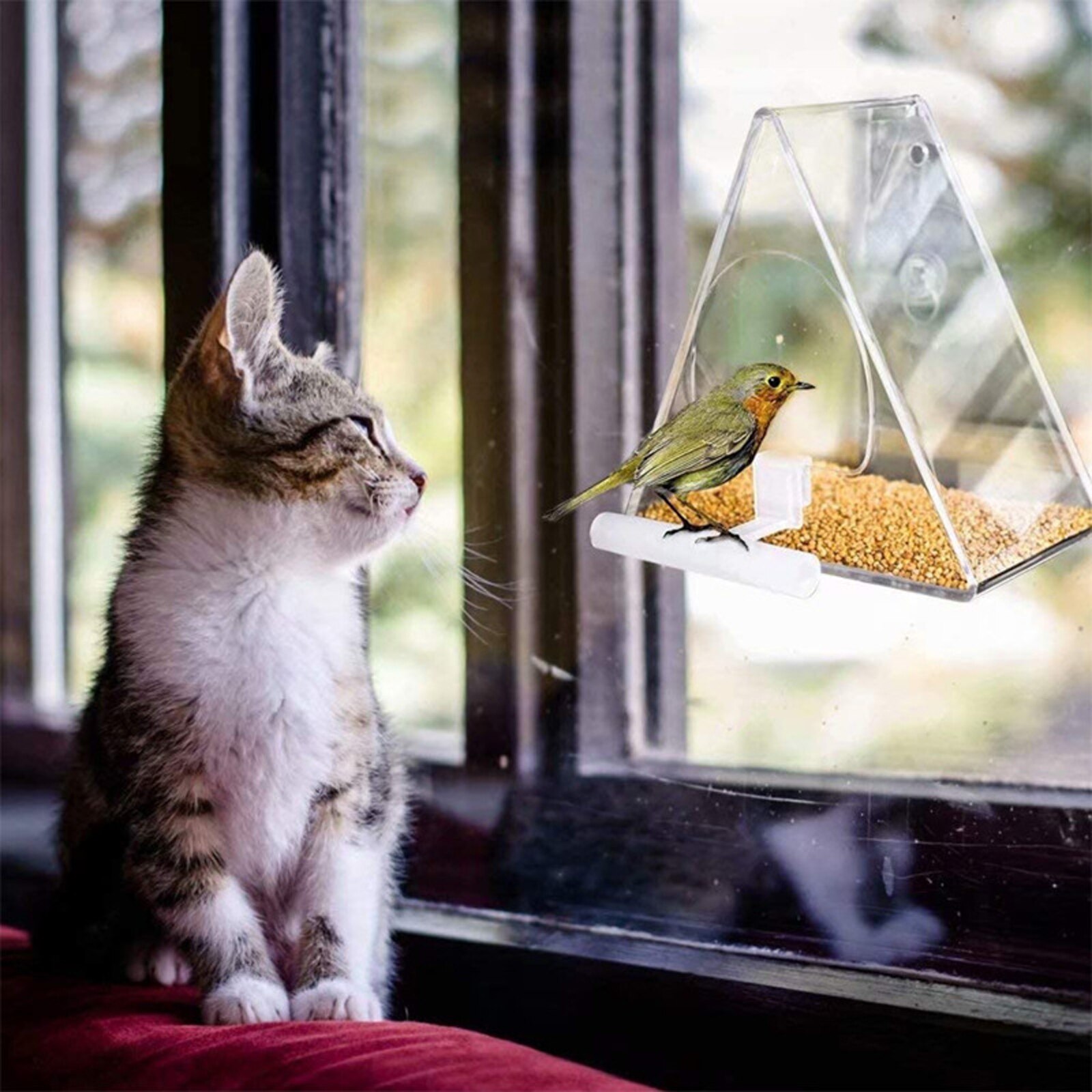 Transparent Triangle Acrylic Bird Feeder Transparent Triangle Acrylic Bird Feeder
