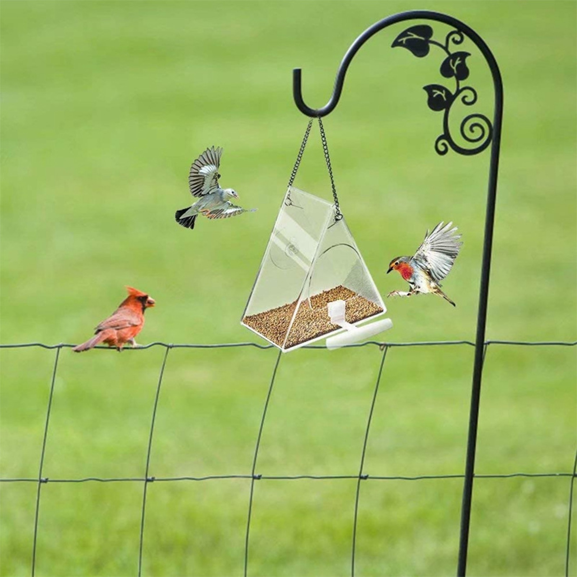 Transparent Triangle Acrylic Bird Feeder Transparent Triangle Acrylic Bird Feeder