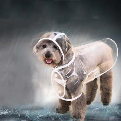 Transparent Waterproof Dog Rain Coat Transparent Waterproof Dog Rain Coat