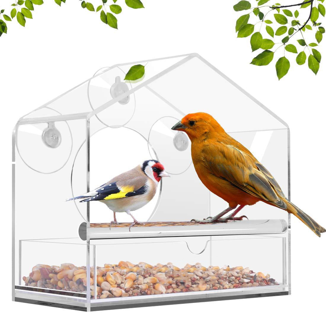 Transparent Window Bird Feeder