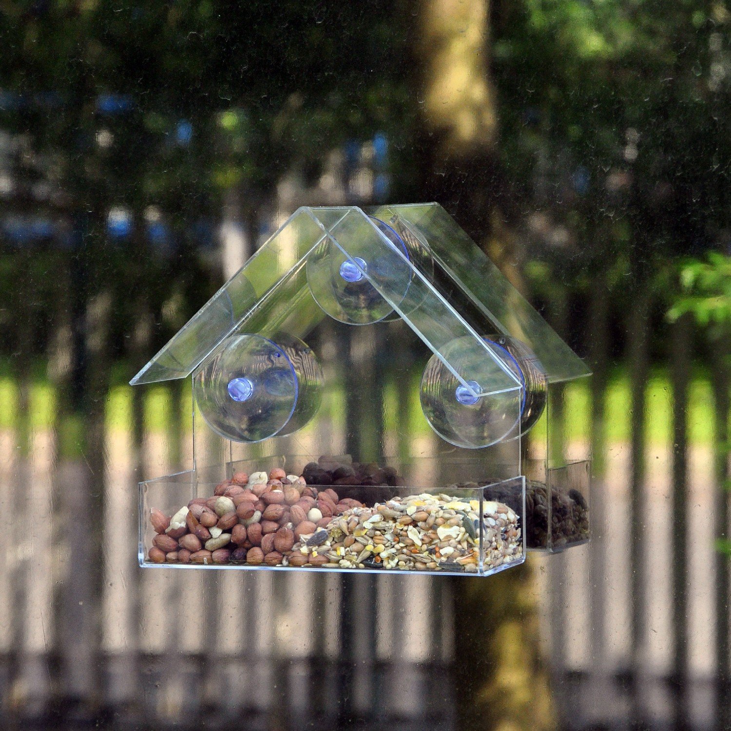Transparent Window Bird Feeder Transparent Window Bird Feeder
