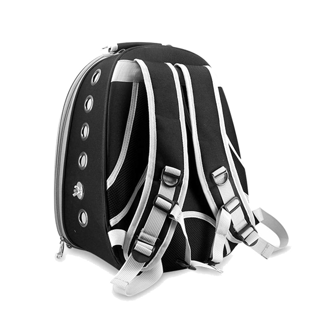Travel Clear Parrot Backpack Carrier Travel Clear Parrot Backpack Carrier