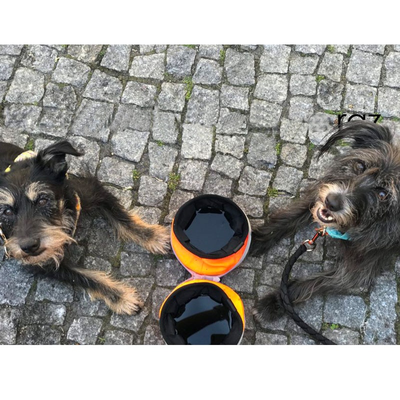 Travel Dog Bowls Collapsible Travel Dog Bowls Collapsible