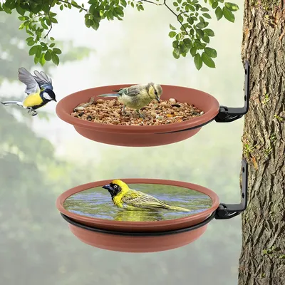 Tree Mounted Bird Feeder and Bird Bath (2 pcs)