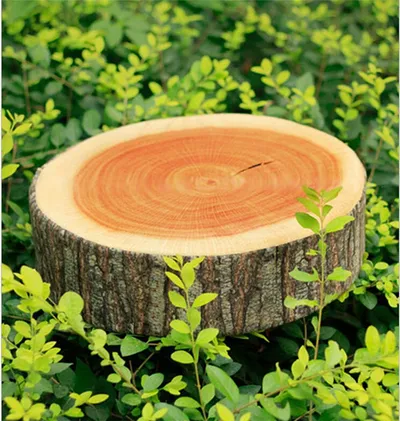 Tree Stump Cushion Pillow