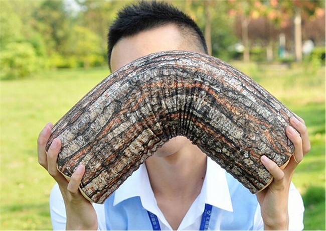 Tree Stump Cushion Pillow