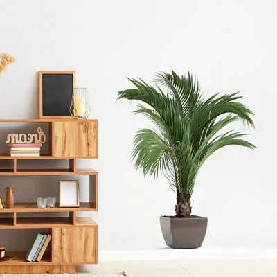 Tropical Green Plant Leaf Self-adhesive Wall Decor Sticker For Living Room Vast Vinyl Vestibule Home Decoration Decal
