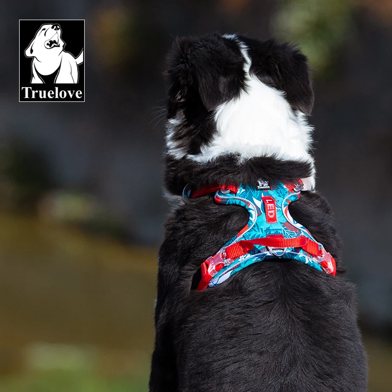 Truelove Pet Harness Small Medium Large Split Dog Fashion Outdoor Truelove Pet Harness Small Medium Large Split Dog Fashion Outdoor