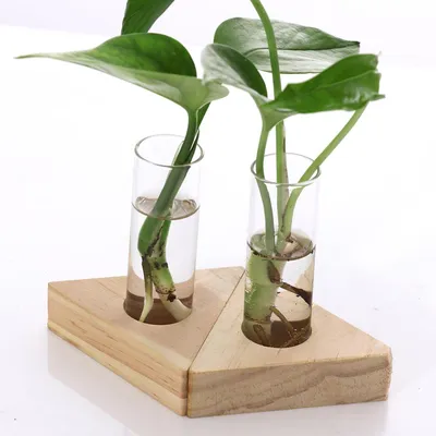 Tube Vase Glass Home Decor Set