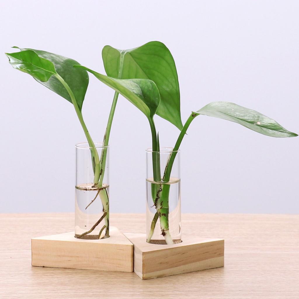 Tube Vase Glass Home Decor Set