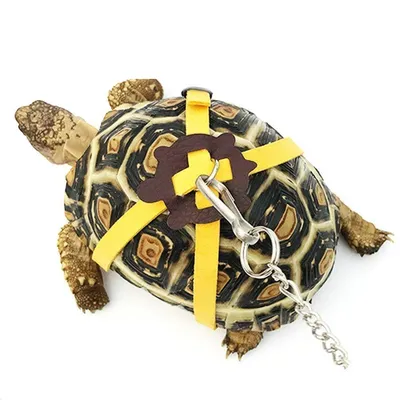 Turtle Leash Pet Accessory Turtle Leash Pet Accessory