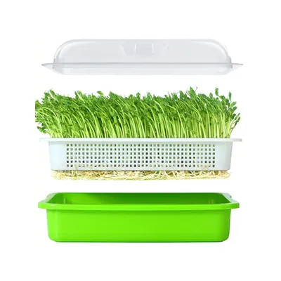 Two-Layer Seed Sprouter Tray Two-Layer Seed Sprouter Tray