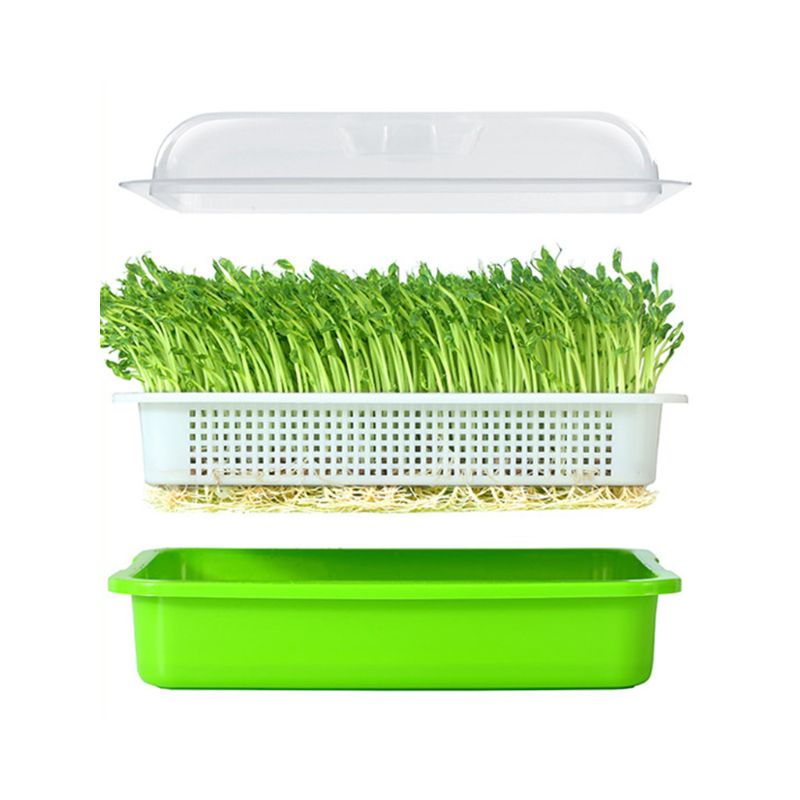 Two-Layer Seed Sprouter Tray Two-Layer Seed Sprouter Tray