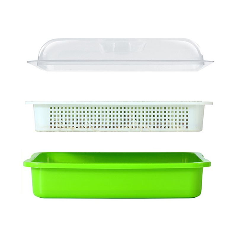 Two-Layer Seed Sprouter Tray Two-Layer Seed Sprouter Tray