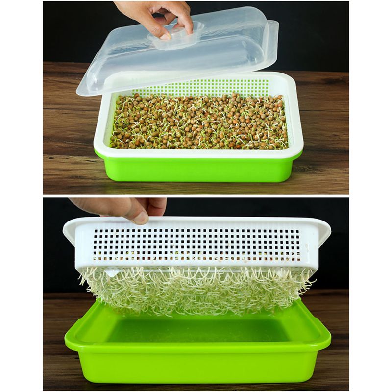 Two-Layer Seed Sprouter Tray Two-Layer Seed Sprouter Tray