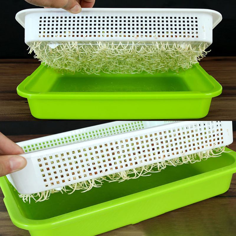 Two-Layer Seed Sprouter Tray Two-Layer Seed Sprouter Tray