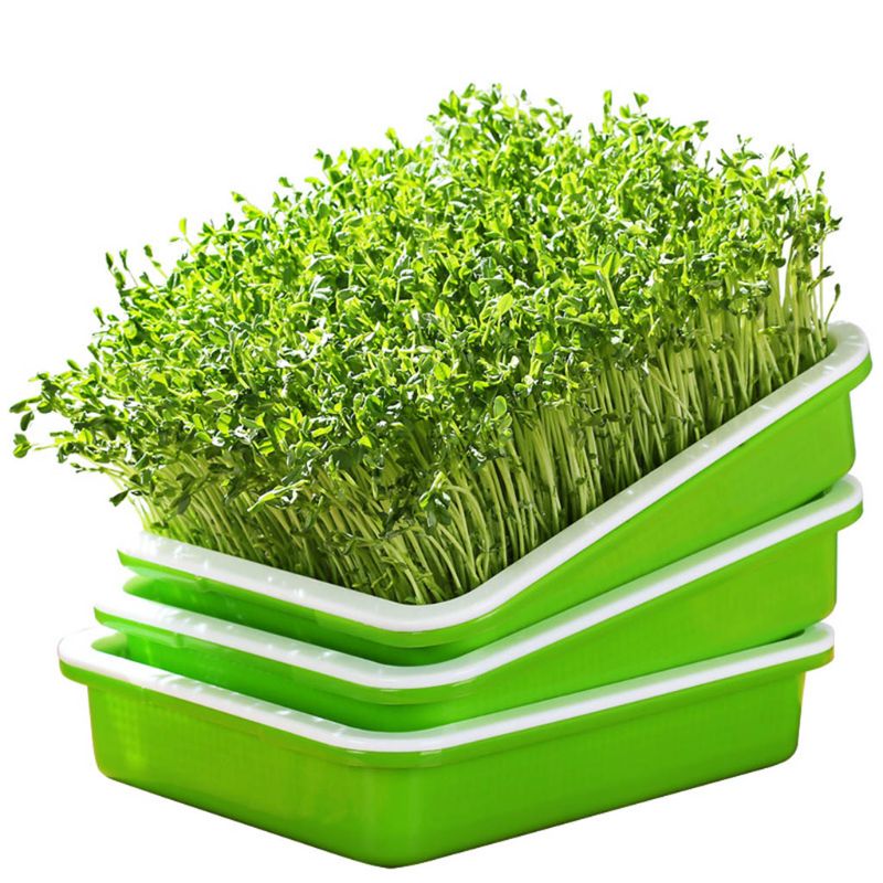 Two-Layer Seed Sprouter Tray Two-Layer Seed Sprouter Tray