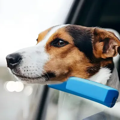 Universal Dog Car Chin Rest Comfortable PLA Car Window Chin Rest for Dogs Portable Practical Dog Car Window Cushion Universal Dog Car Chin Rest Comfortable PLA Car Window Chin Rest for Dogs Portable Practical Dog Car Window Cushion