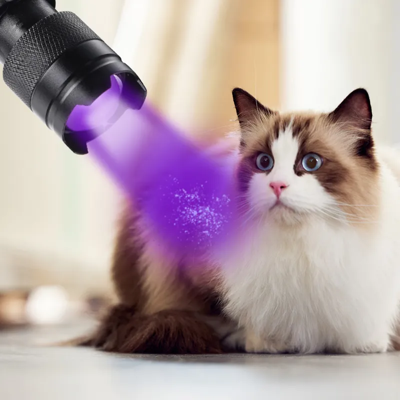 UV Flashlight LED Ultraviolet Torch Zoomable Mini Ultra Violet Lights 395nm Inspection Lamp Pet Urine Stain Detector UV Flashlight LED Ultraviolet Torch Zoomable Mini Ultra Violet Lights 395nm Inspection Lamp Pet Urine Stain Detector