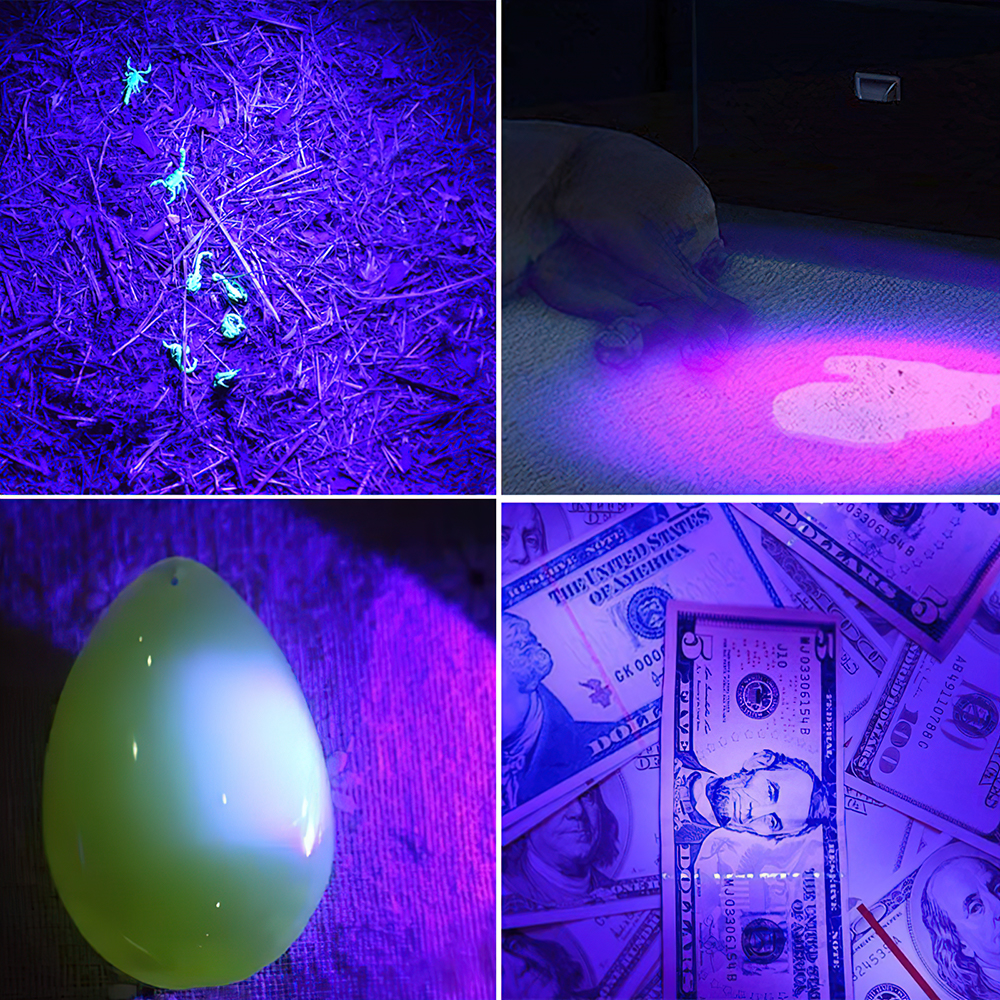 UV LED Flashlight Mini LED Torch Blacklight Wavelength Violet Light Zoomable Pet Urine Scorpion Feminine hygiene UV LED Flashlight Mini LED Torch Blacklight Wavelength Violet Light Zoomable Pet Urine Scorpion Feminine hygiene