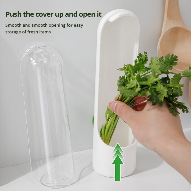 Vegetable Preserving Bottle Herbal Preserving Herb Storage Bottle Home Kitchen Gadget Fresh For Storing Kitchen Supplies Vegetable Preserving Bottle Herbal Preserving Herb Storage Bottle Home Kitchen Gadget Fresh For Storing Kitchen Supplies