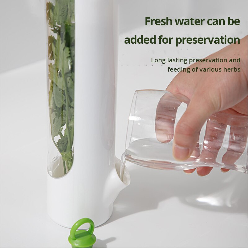 Vegetable Preserving Bottle Herbal Preserving Herb Storage Bottle Home Kitchen Gadget Fresh For Storing Kitchen Supplies Vegetable Preserving Bottle Herbal Preserving Herb Storage Bottle Home Kitchen Gadget Fresh For Storing Kitchen Supplies