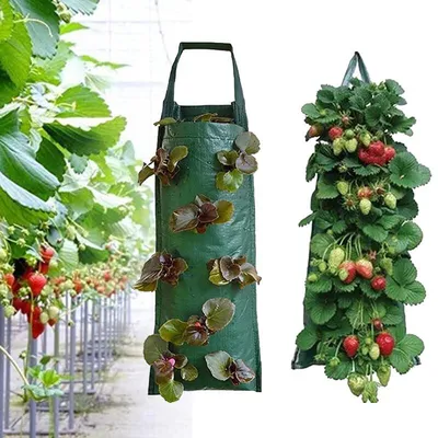 Vertical Garden Wall Planting Bag Vertical Garden Wall Planting Bag