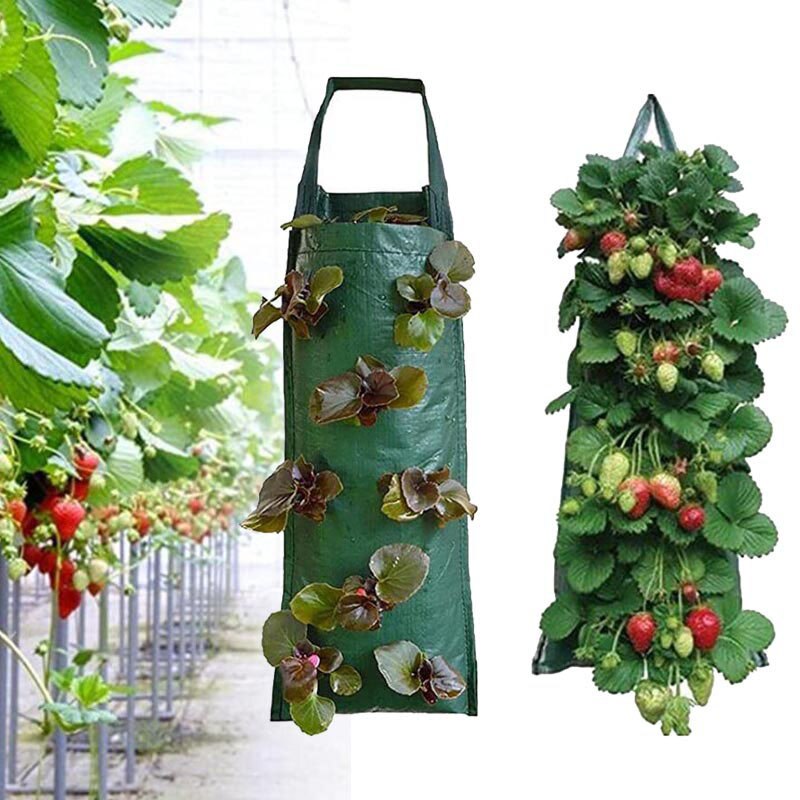 Vertical Garden Wall Planting Bag Vertical Garden Wall Planting Bag