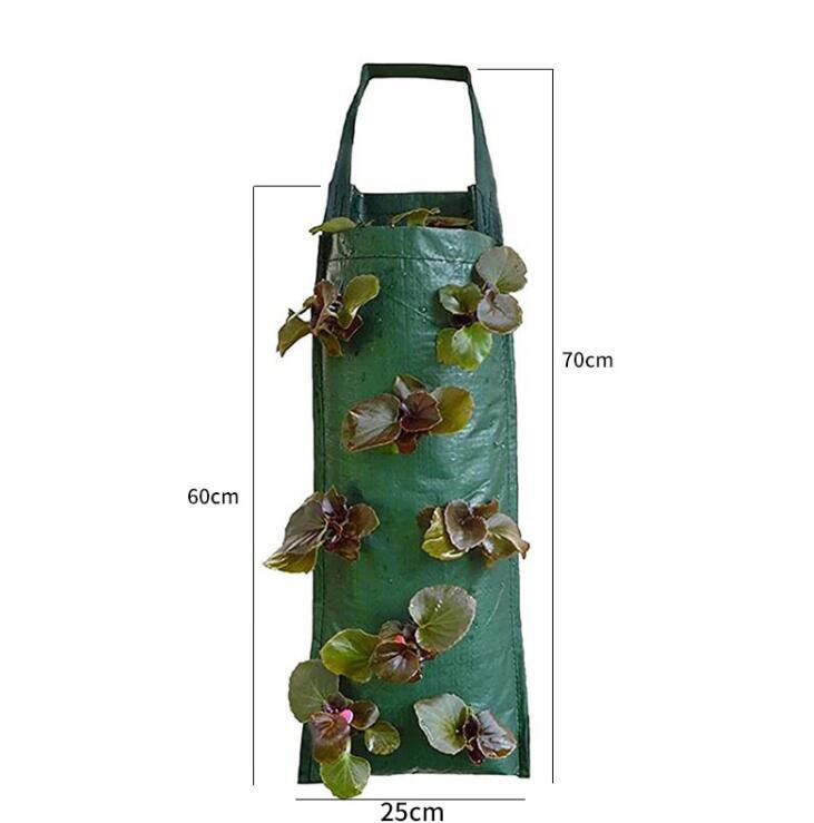 Vertical Garden Wall Planting Bag Vertical Garden Wall Planting Bag