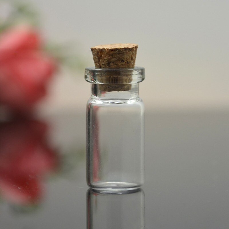 Vial Bottles Glass Containers (10pcs)