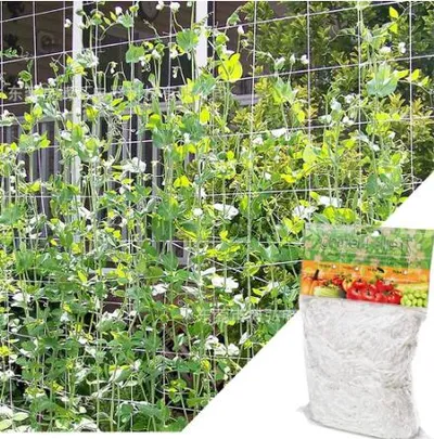 Vine Support Plastic Trellis Netting Vine Support Plastic Trellis Netting