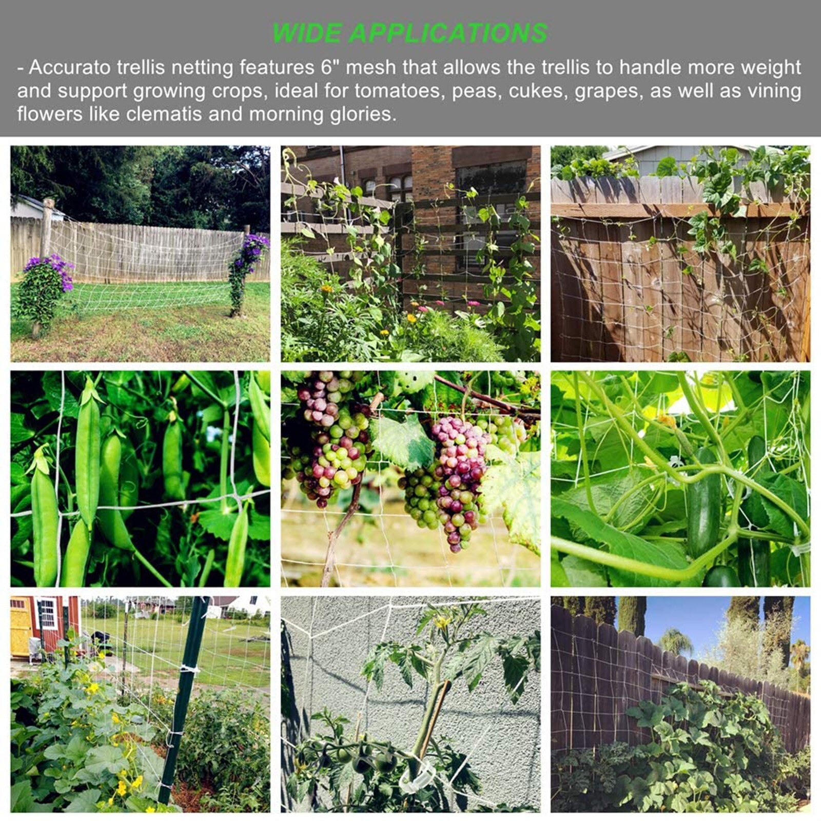Vine Support Plastic Trellis Netting Vine Support Plastic Trellis Netting