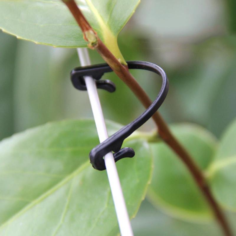 Vine Ties Plant Stem Support (200 pcs) Vine Ties Plant Stem Support (200 pcs)