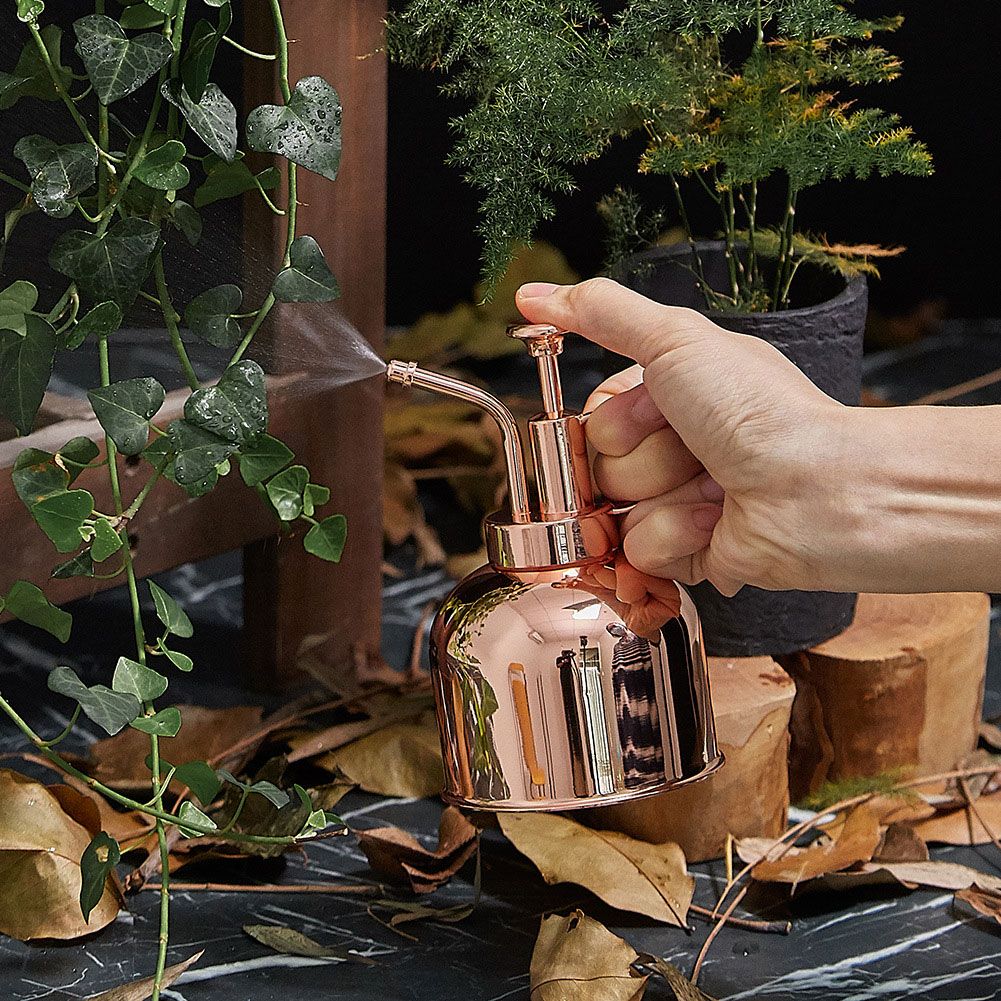 Vintage Watering Can Sprayer