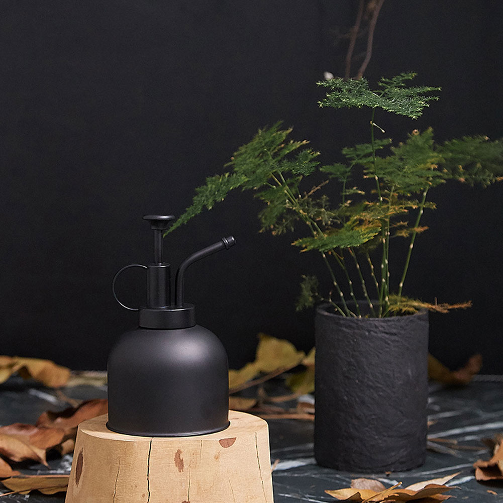 Vintage Watering Can Sprayer