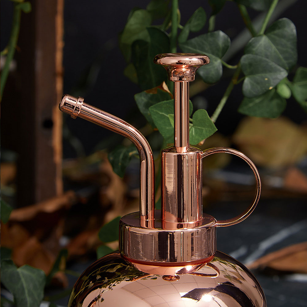 Vintage Watering Can Sprayer